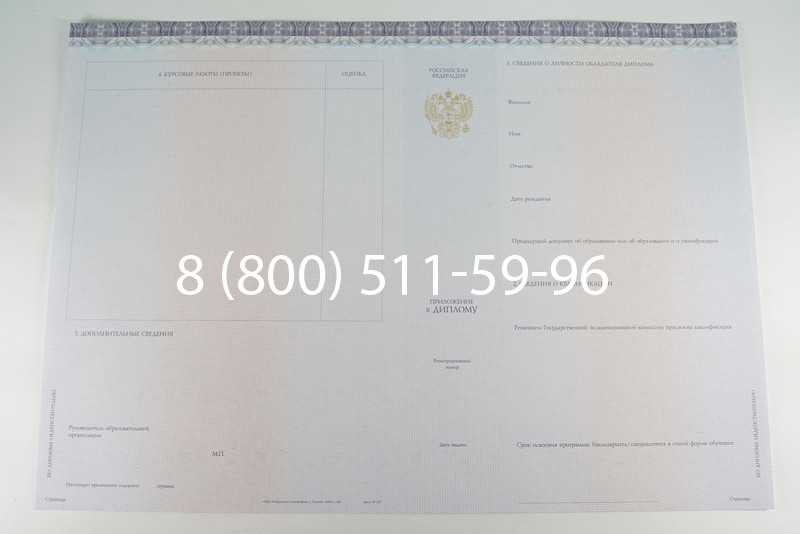 Диплом бакалавра (Киржач) 2014-2024 года в Махачкале