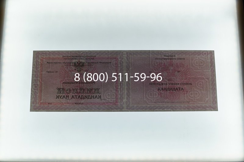 Заказать Диплом кандидата наук 2010 в Махачкале